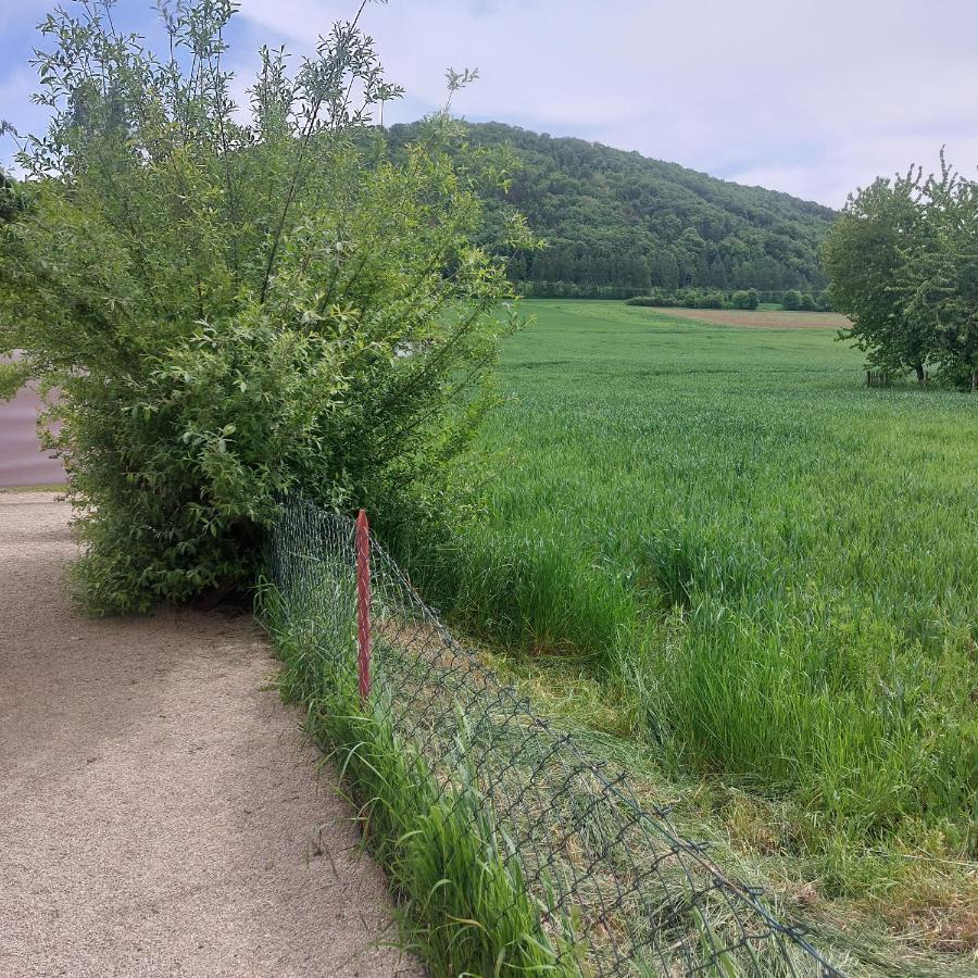 Ferienwohnung Rudat Treuchtlingen Bagian luar foto